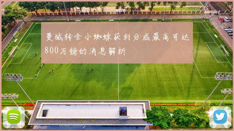 曼城转会小蜘蛛获利分成最高可达800万镑的消息解析