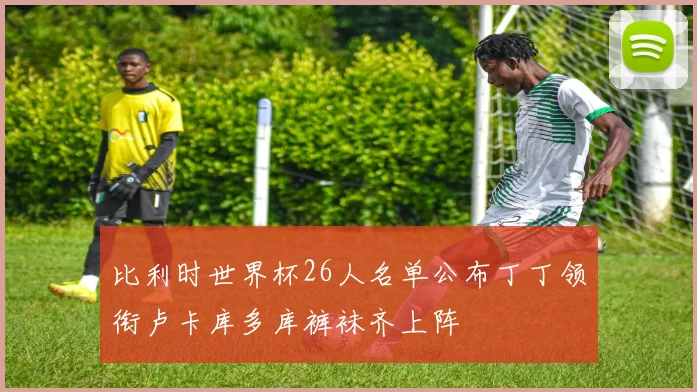 比利时世界杯26人名单公布丁丁领衔卢卡库多库裤袜齐上阵