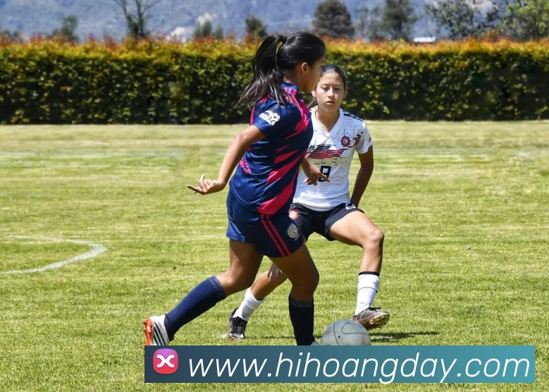 APP界面展示